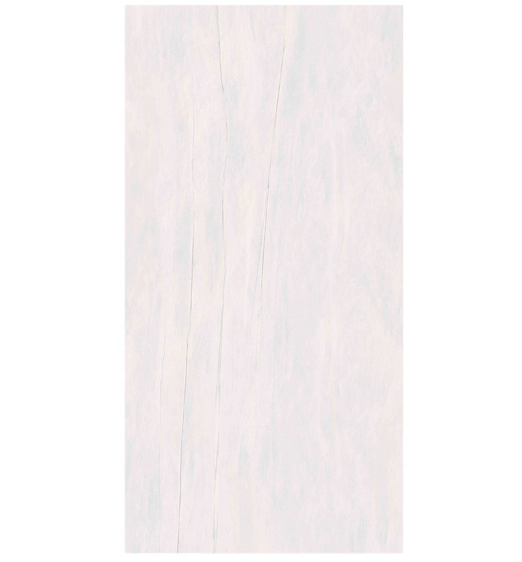 Des carreaux de sol en porcelaine à l'effet de pierre élégant de style moderne 600x1200mm en finition mate/brillante